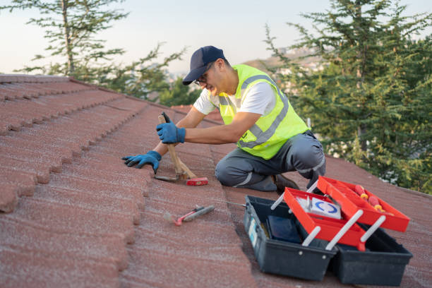 Best Metal Roofing Contractor  in North Lauderdale, FL